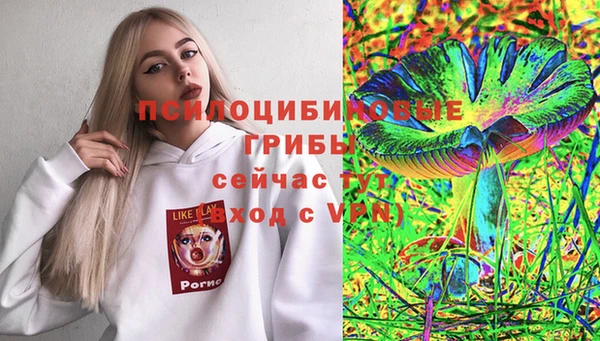 jwh Абаза